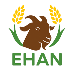 EHAN logo
